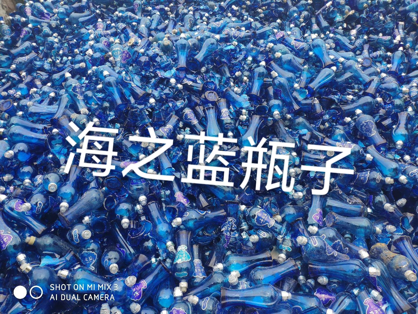 兴化海之蓝瓶回收